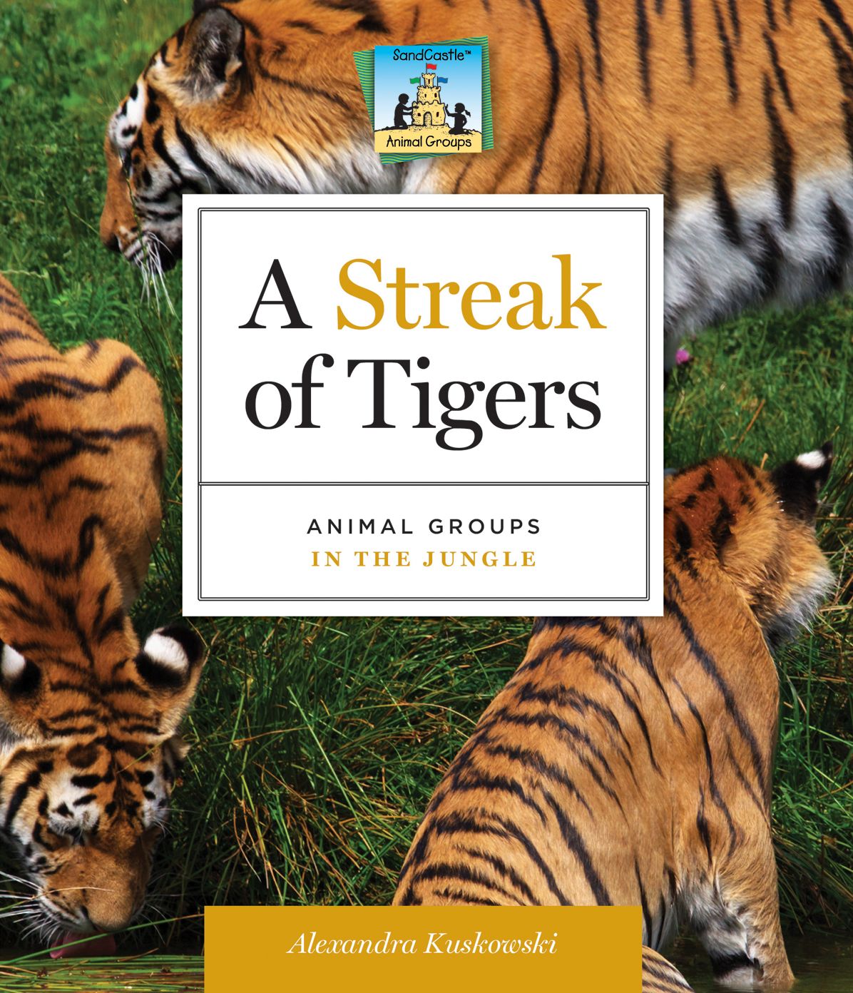 Streak of Tigers: Animal Groups in the Jungle eBook