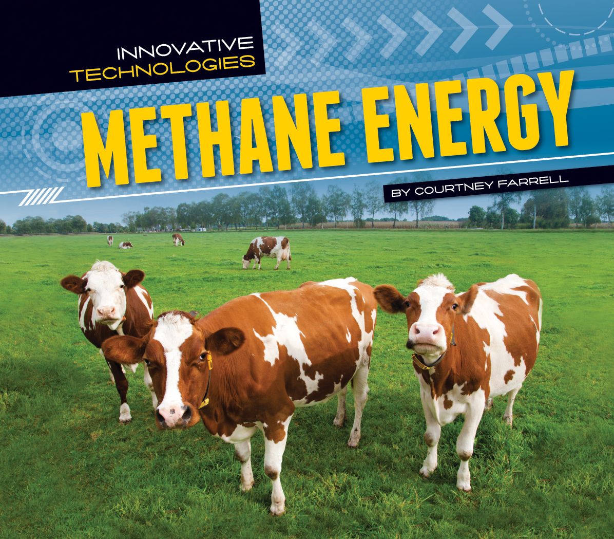 Methane Energy eBook