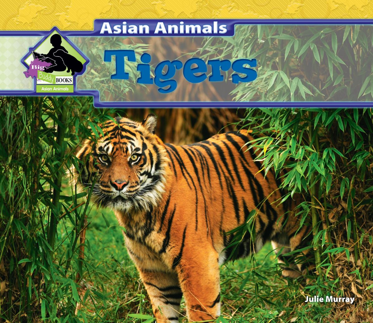 Tigers eBook