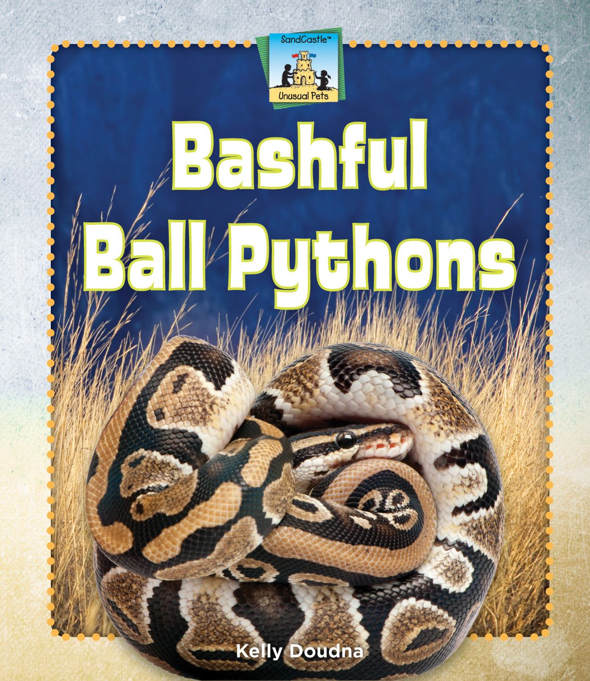 Bashful Ball Pythons eBook