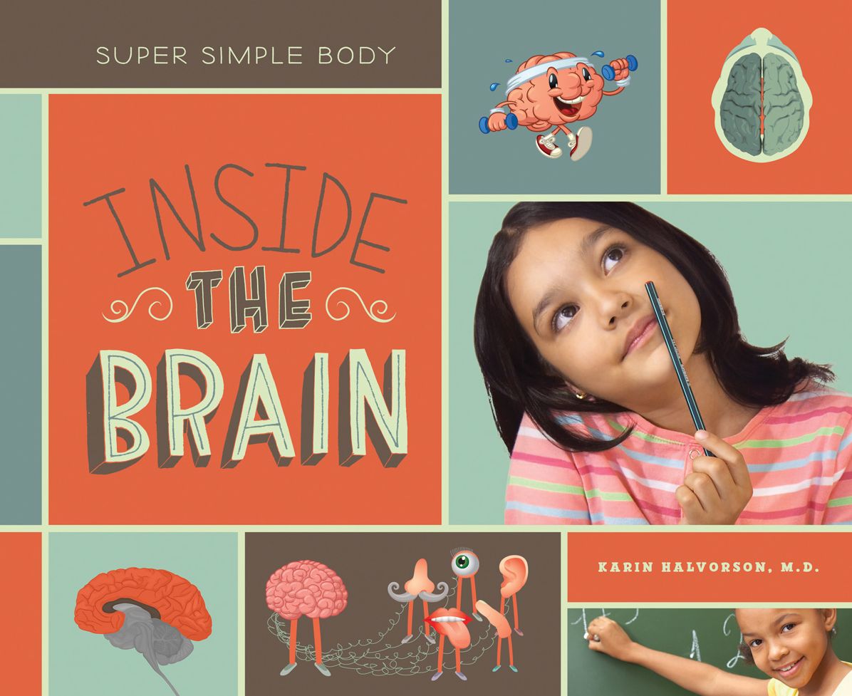 Inside the Brain