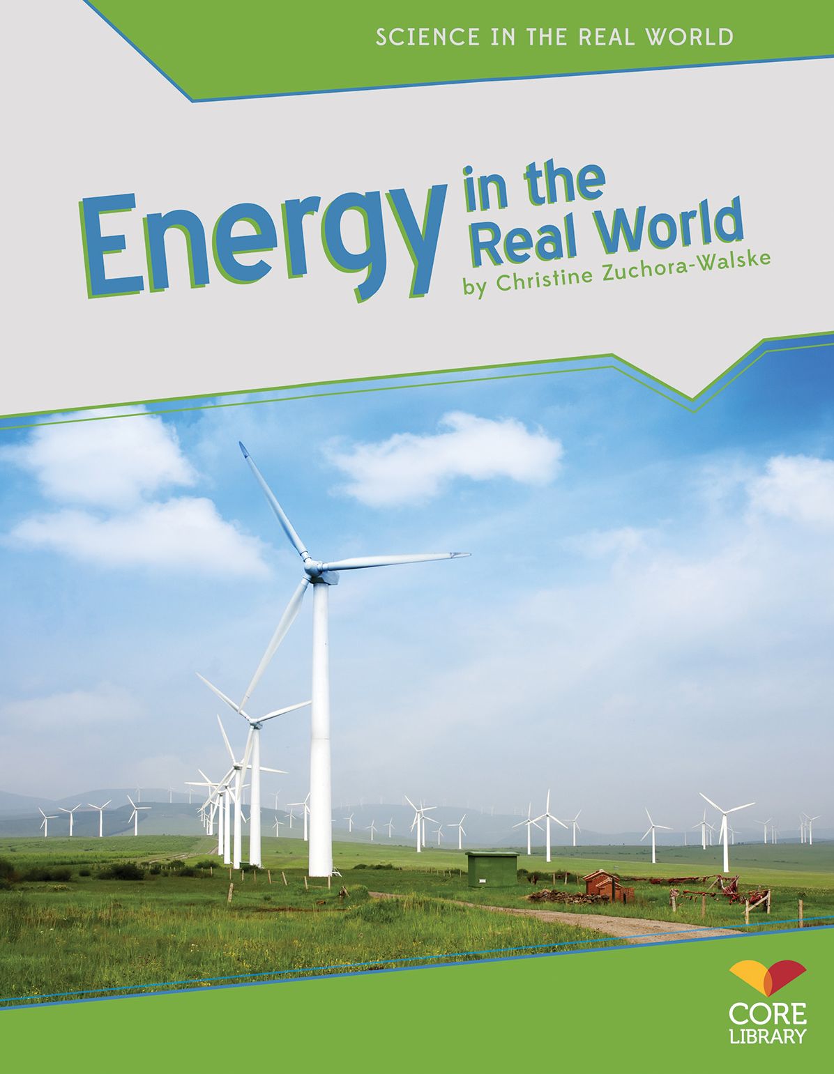 Energy in the Real World eBook