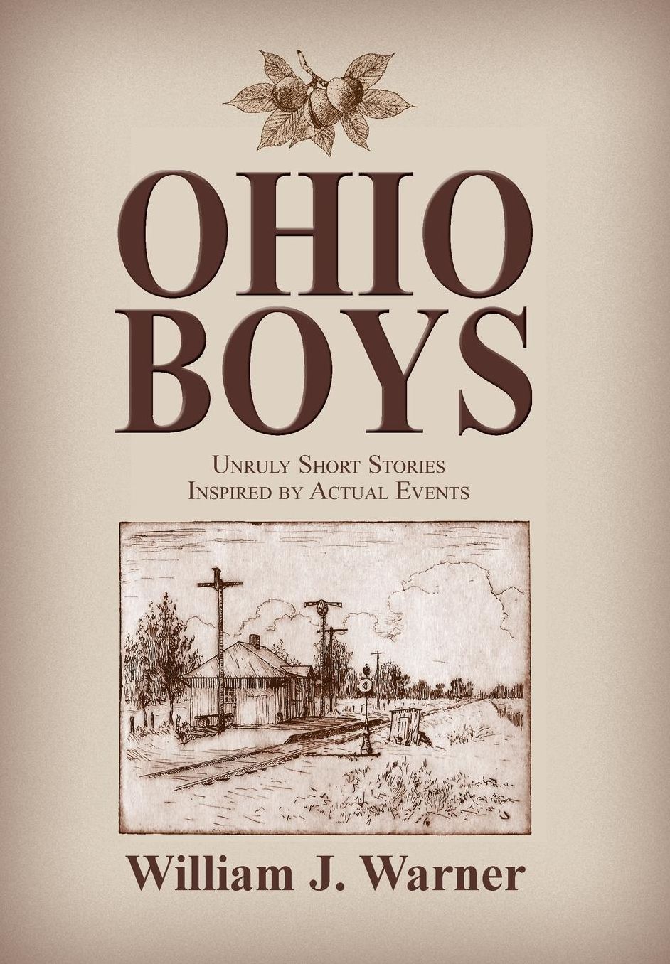 Ohio Boys: Unruly Short Stories Inspired by Actual Events