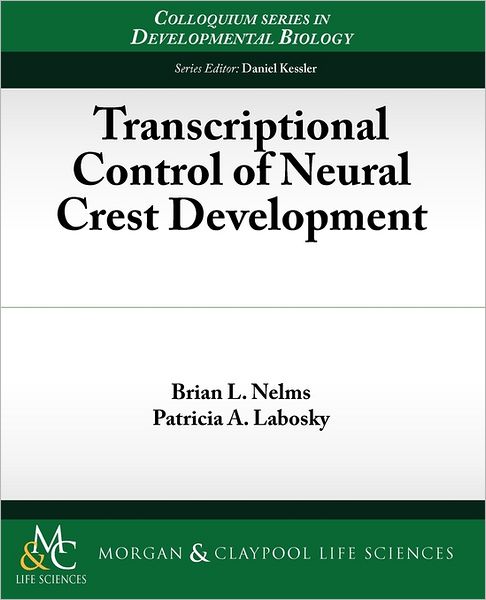 Transcriptional Control Of Neural Crest Development
