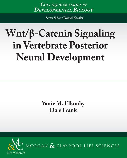 Wnt/ -Catenin Signaling In Vertebrate Posterior Neural Development