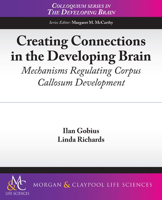 Creating Connections in the Developing Brain: Mechanisms Regulating Corpus Callosum Development