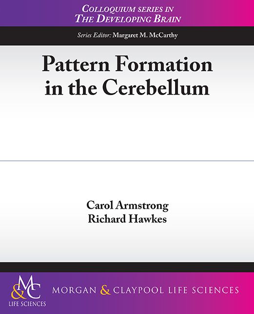 Pattern Formation in the Cerebellum