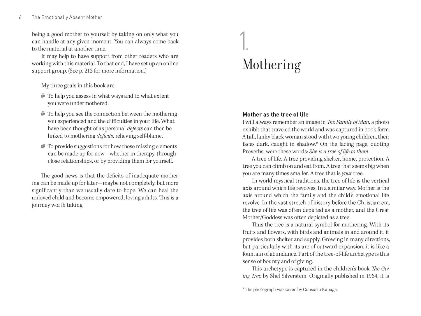 The Emotionally Absent Mother: How to Recognize and Heal the Invisible Effects of Childhood Emotional Neglect