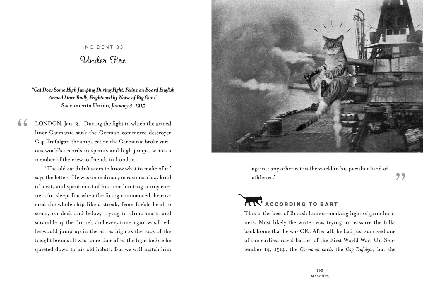 Seafurrers: The Ships' Cats Who Lapped and Mapped the World