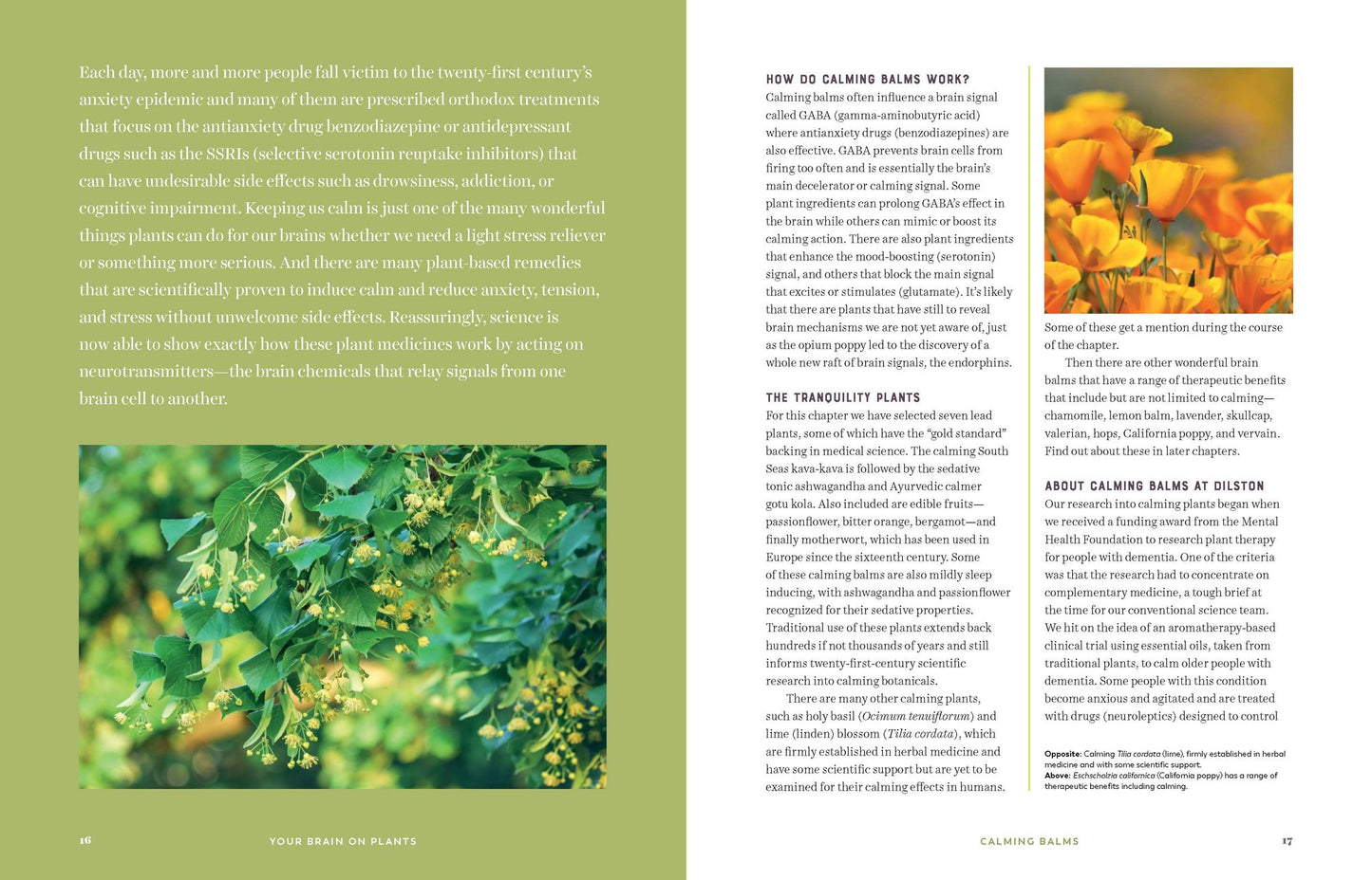 Your Brain on Plants: Improve the Way You Think and Feel with Safe--And Proven--Medicinal Plants and Herbs