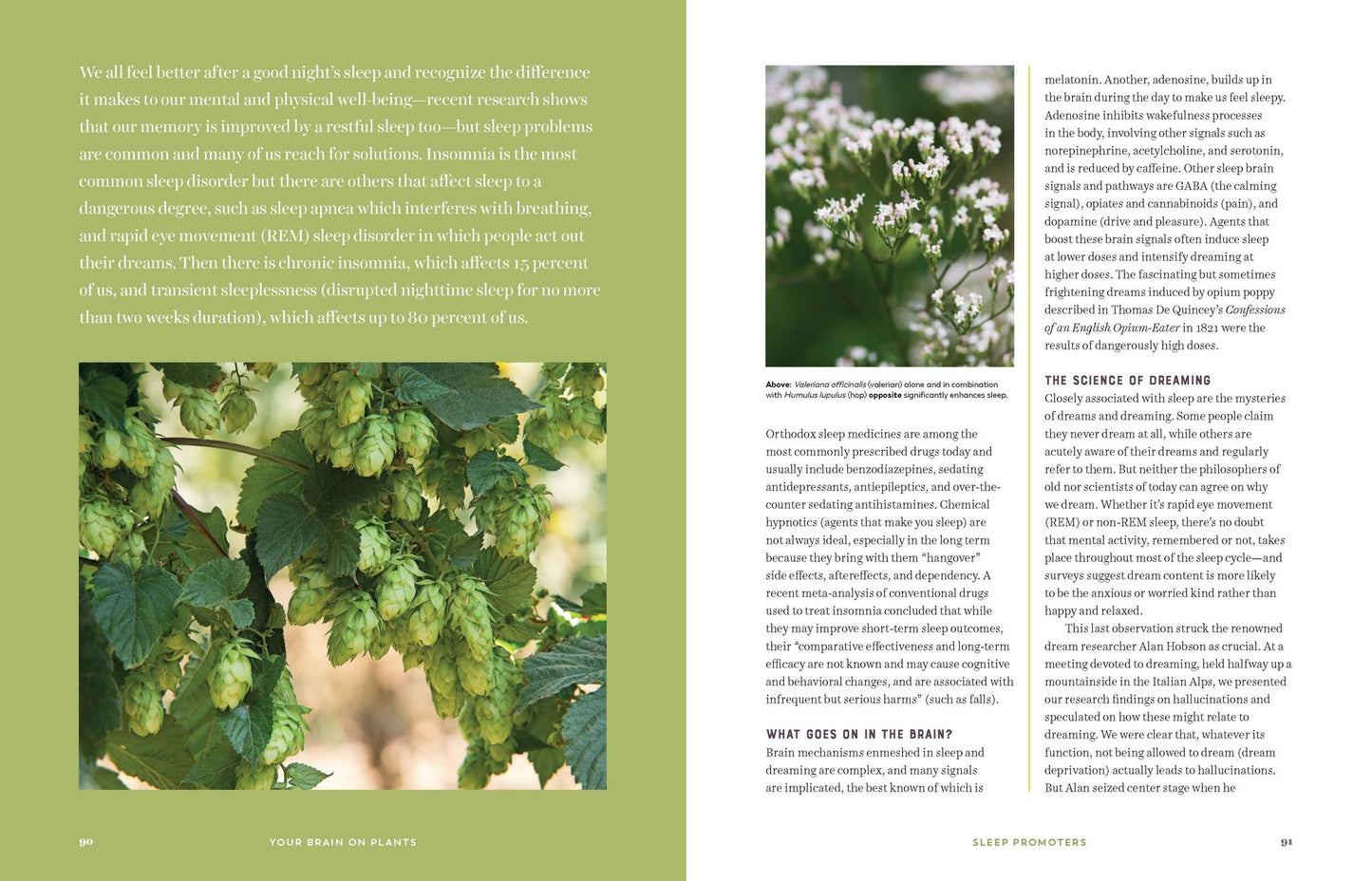 Your Brain on Plants: Improve the Way You Think and Feel with Safe--And Proven--Medicinal Plants and Herbs