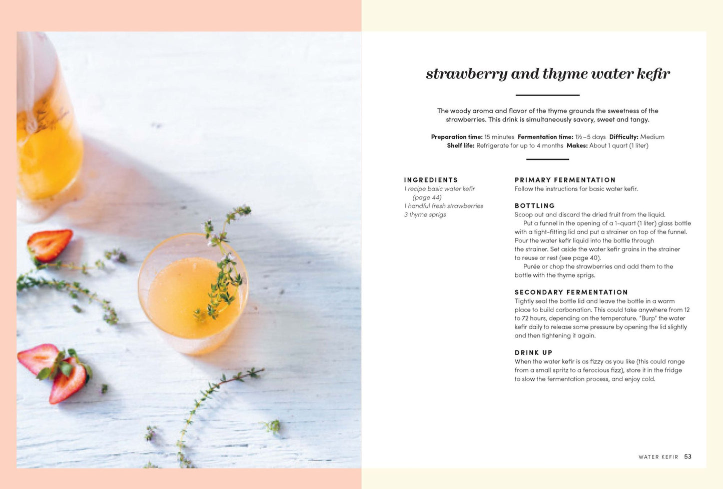 Fermented Probiotic Drinks at Home: Make Your Own Kombucha, Kefir, Ginger Bug, Jun, Pineapple Tepache, Honey Mead, Beet Kvass, and More