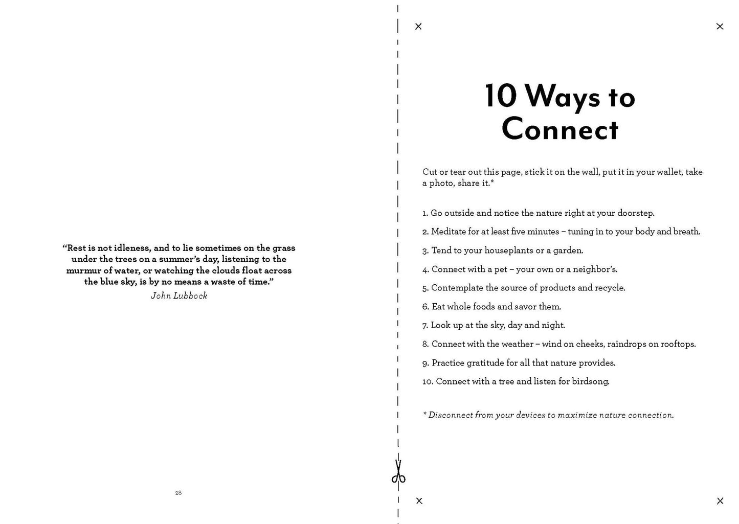 Into Nature: A Creative Field Guide and Journal to Unplug and Reconnect