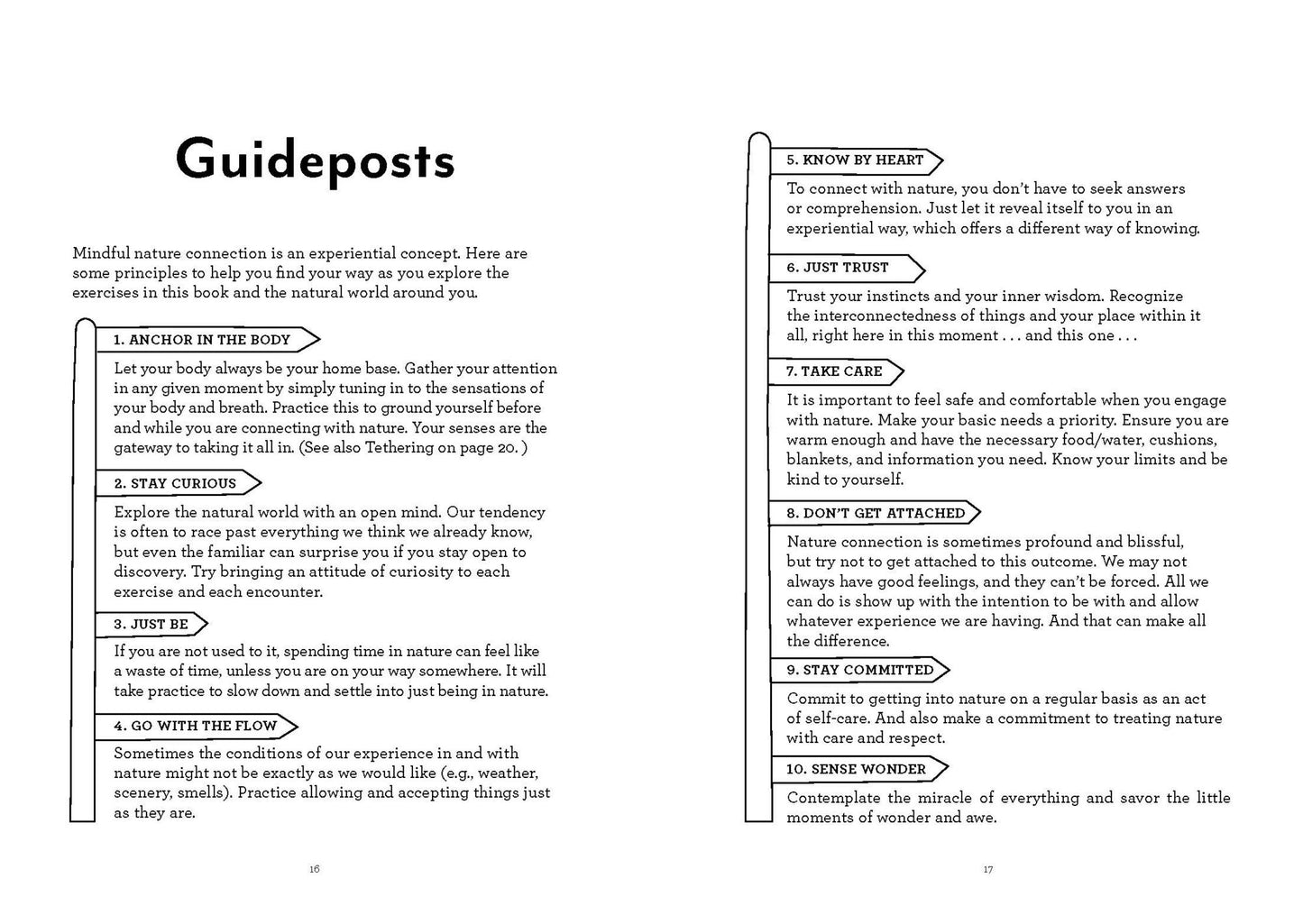 Into Nature: A Creative Field Guide and Journal to Unplug and Reconnect