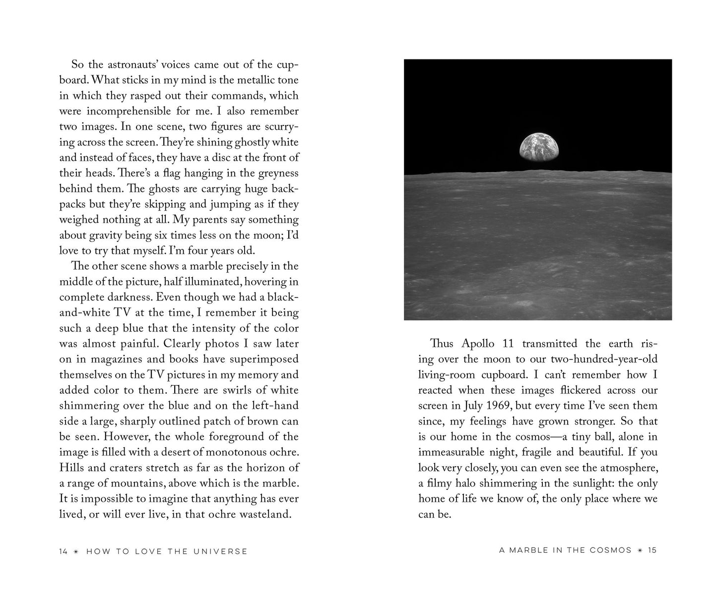 How to Love the Universe : A Scientist's Odes to the Hidden Beauty Behind the Visible World