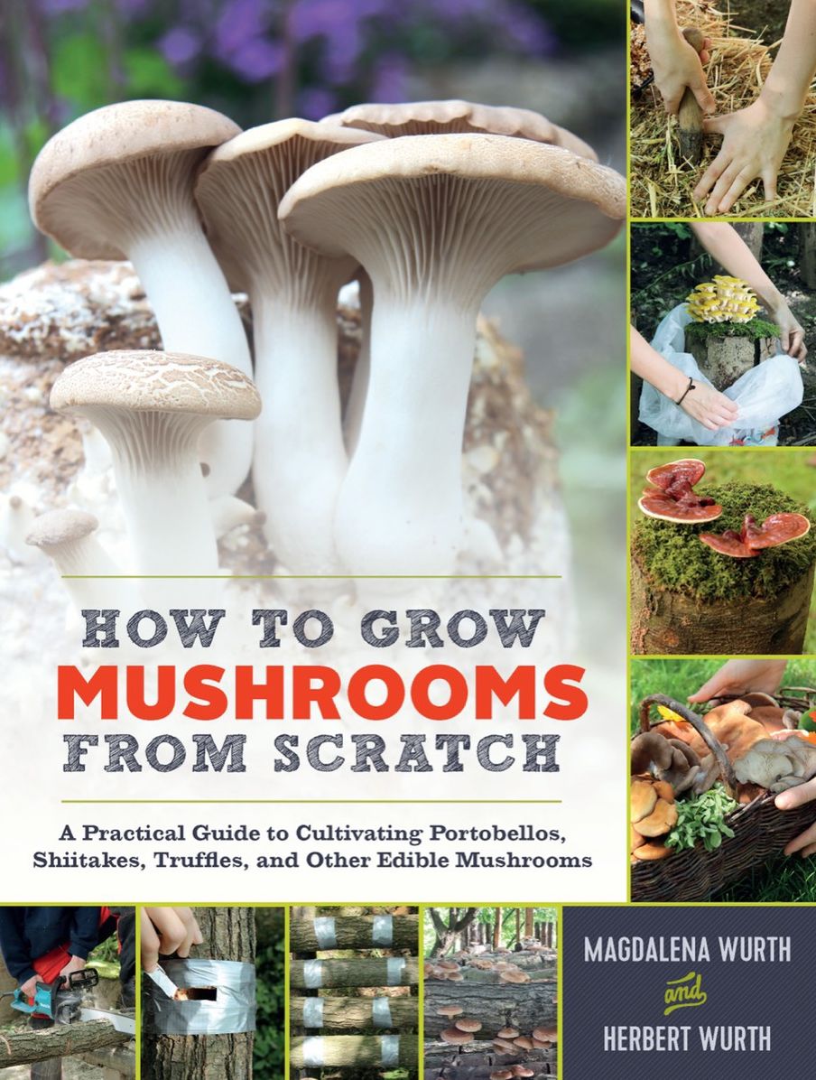 How to Grow Mushrooms from Scratch: A Practical Guide to Cultivating Edible Mushrooms Outside and Indoors