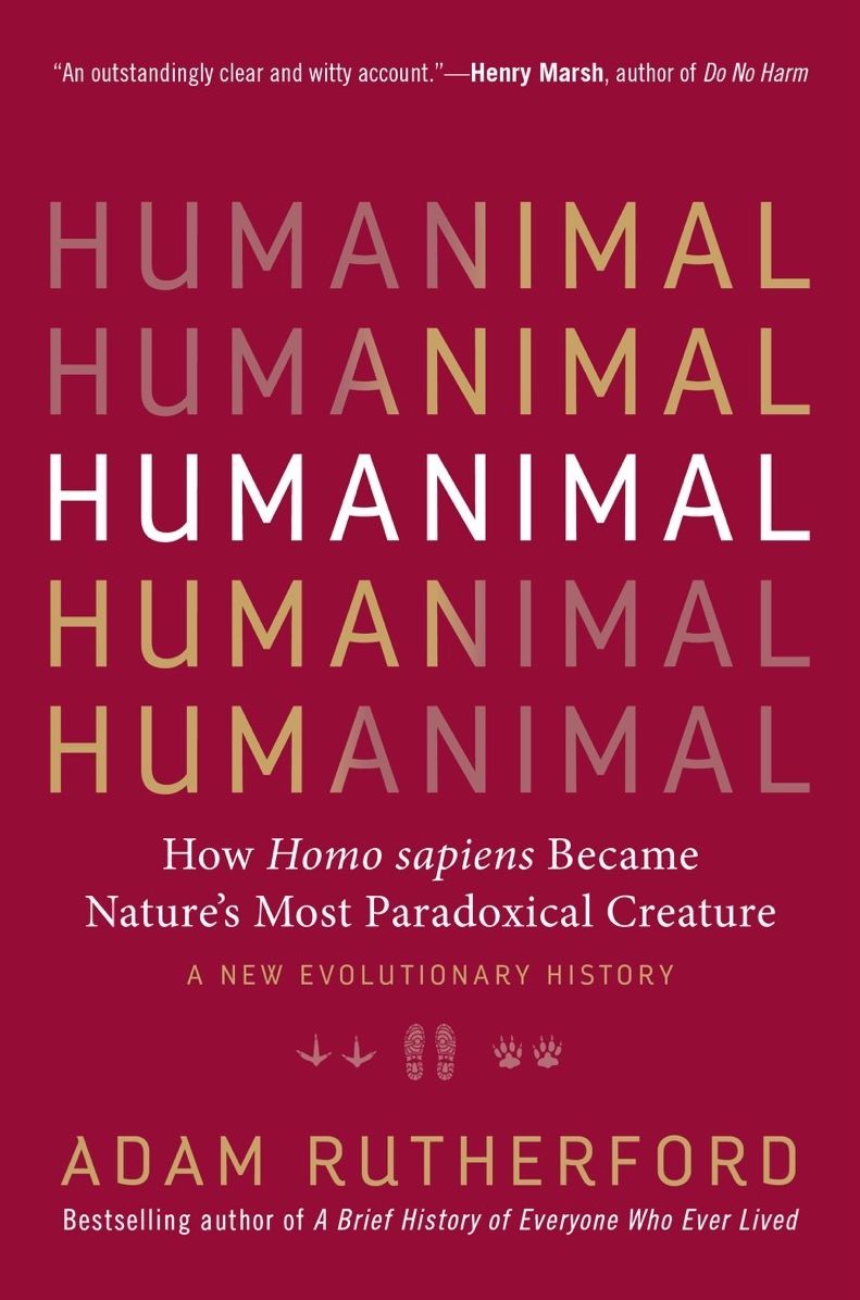 The Book of Humans: The Story of How We Became Us
