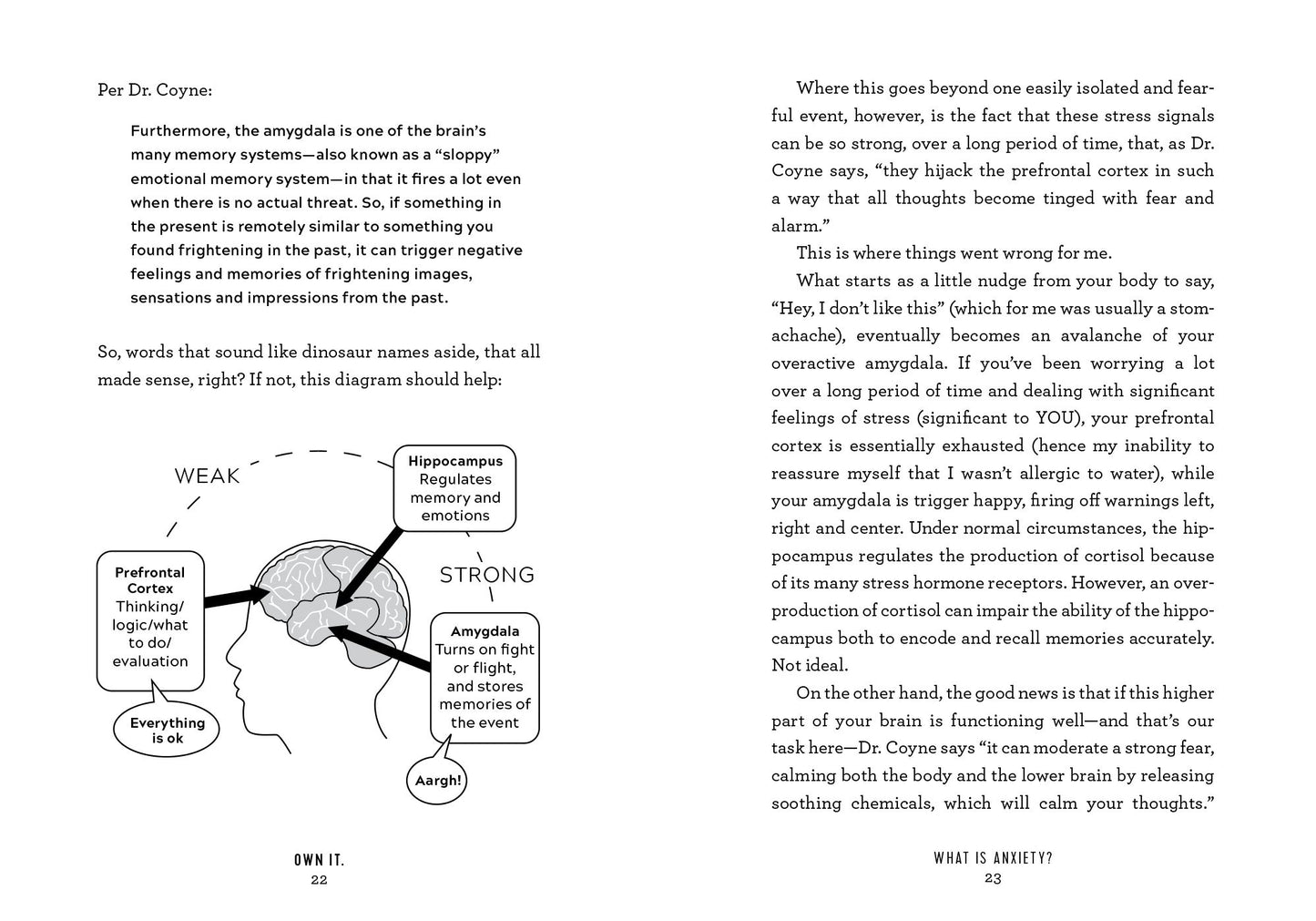 Own It.: Make Your Anxiety Work for You--Your Bullsh*t-Free Guide to Living with Anxiety