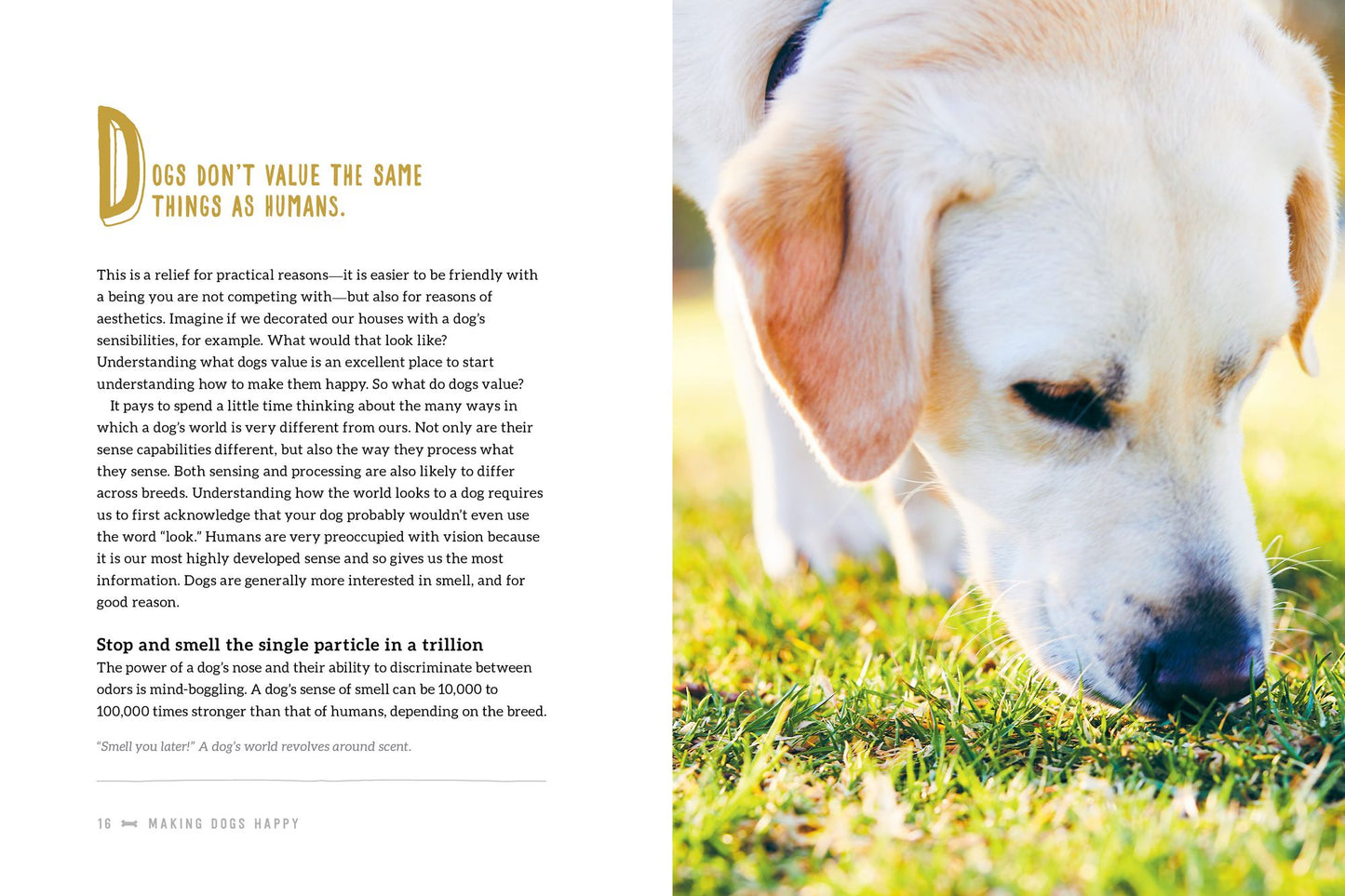 Making Dogs Happy: Expert Advice on Decoding--And Positively Influencing--Your Dog's Emotions, Behavior, and Activities