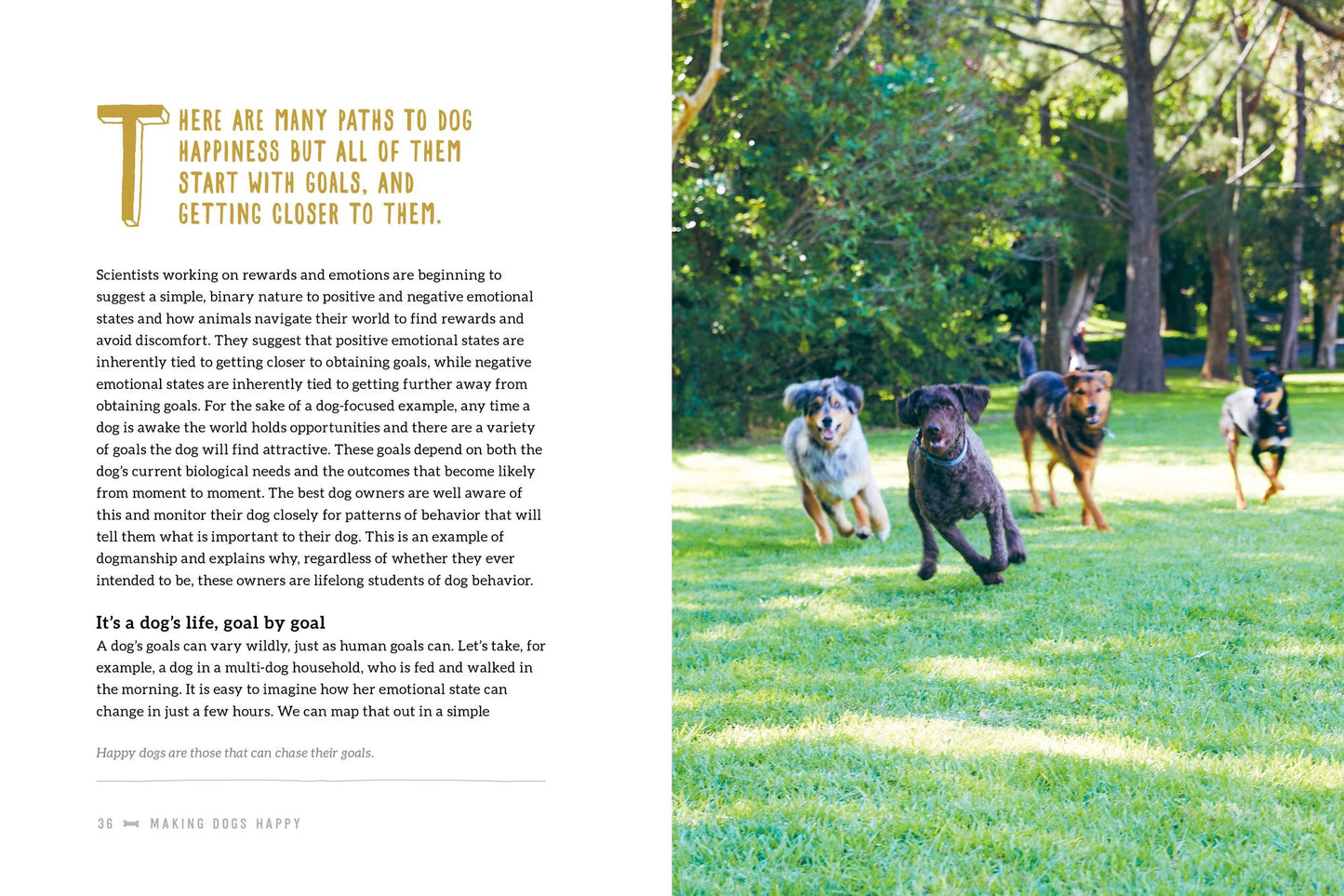 Making Dogs Happy: Expert Advice on Decoding--And Positively Influencing--Your Dog's Emotions, Behavior, and Activities