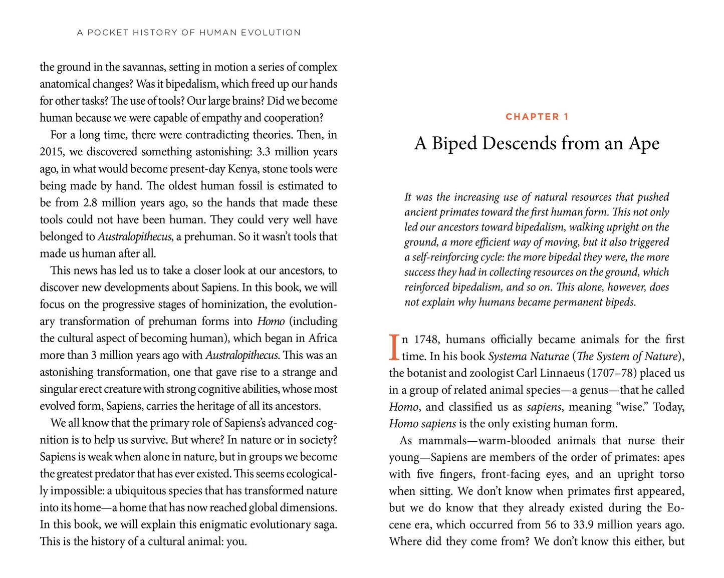 A Pocket History of Human Evolution: How We Became Sapiens