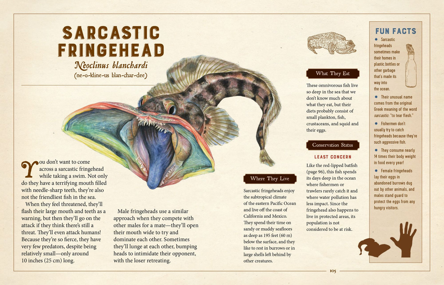 A Curious Collection of Peculiar Creatures: An Illustrated Encyclopedia