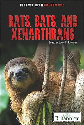 Rats, Bats, and Xenarthrans