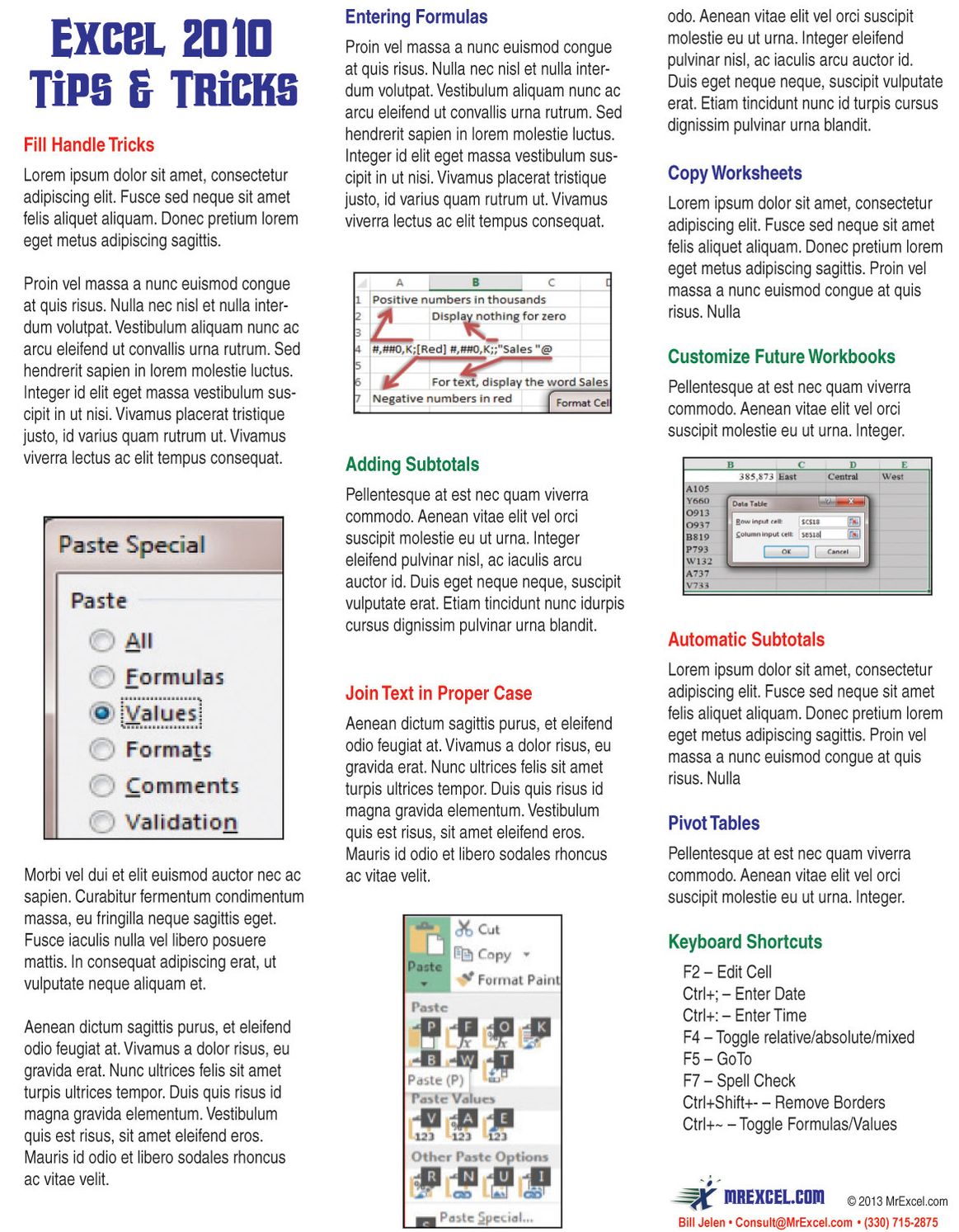 Excel 2010 Laminated Tip Card: Tips and Tricks from Mrexcel