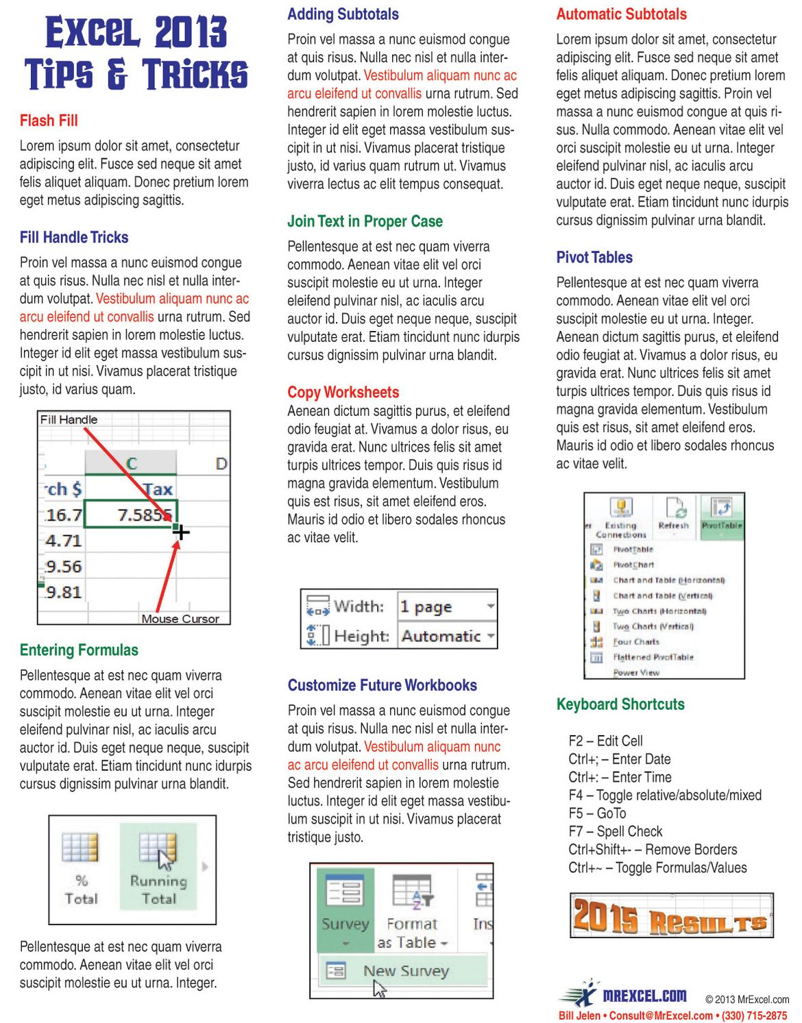 Excel 2013 Laminated Tip Card: Tips & Tricks from Mrexcel