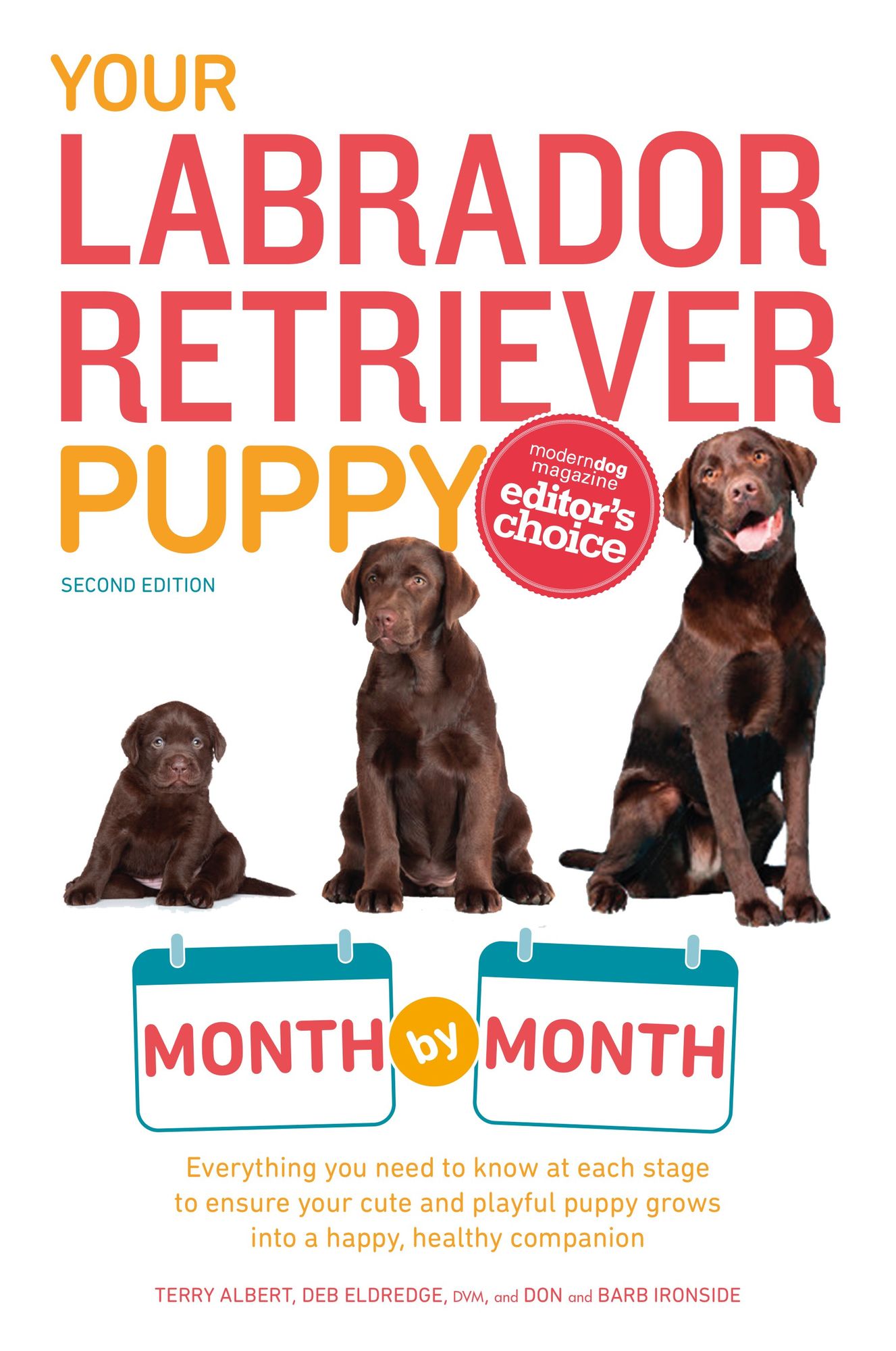 Your Labrador Retriever Puppy Month By Month: Everything You Need to Know at Each Stage of Development