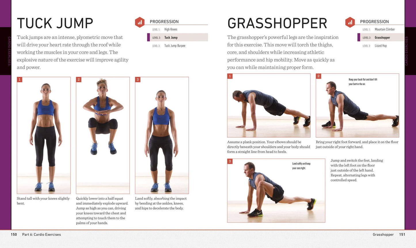Idiot's Guides: High Intensity Interval Training