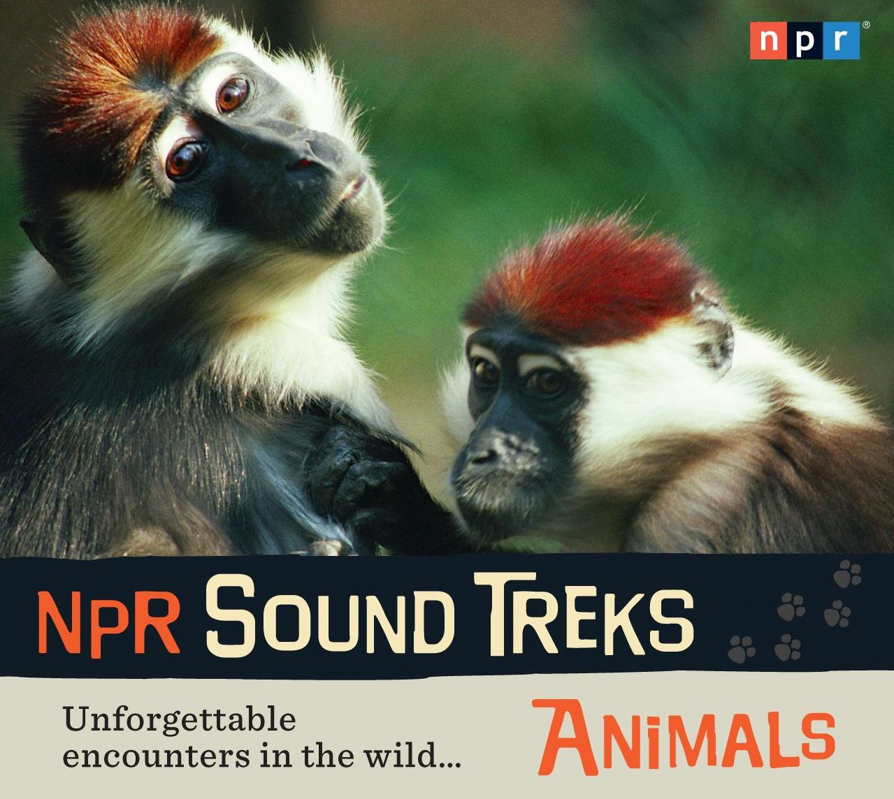 NPR Sound Treks: Animals