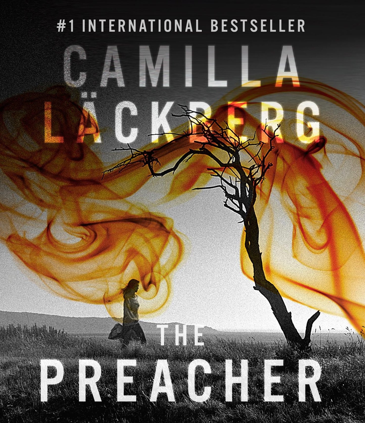 The Preacher (Fjällbacka Series #2)