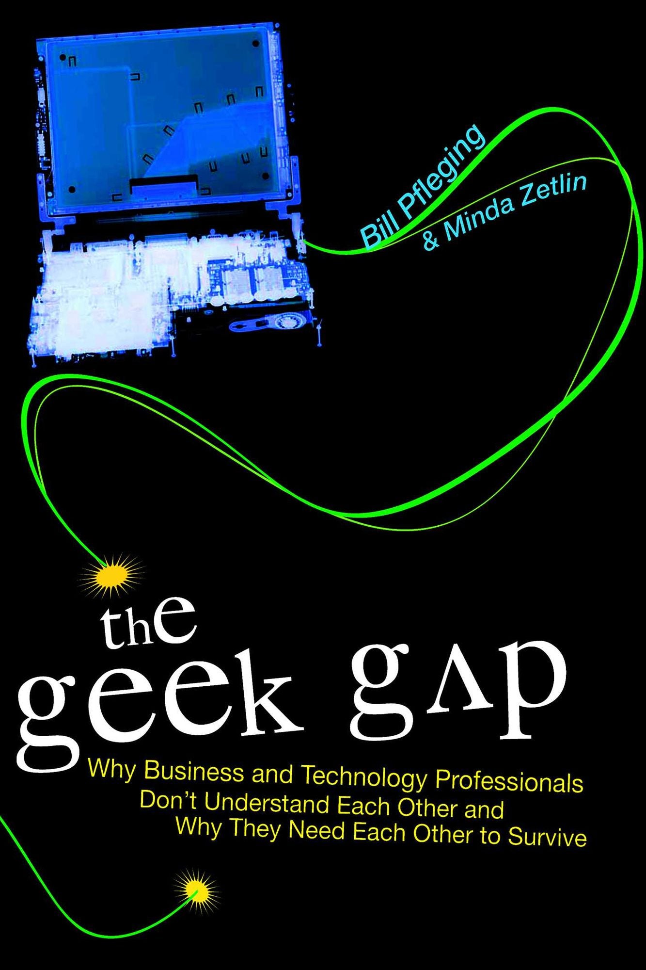 Geek Gap, The: Why Business And Technology Professionals Don't Understand Each Other And Why They Need Each Other to Survive