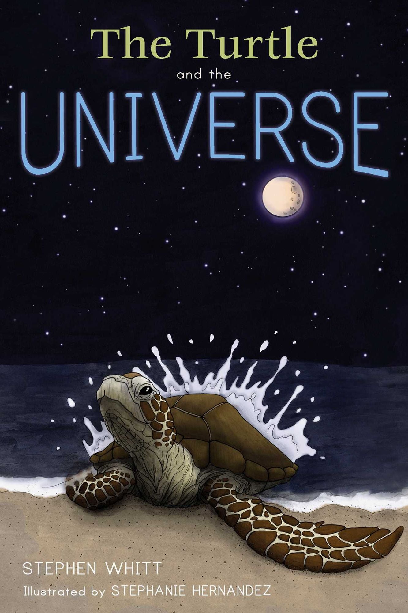 Turtle and the Universe, The
