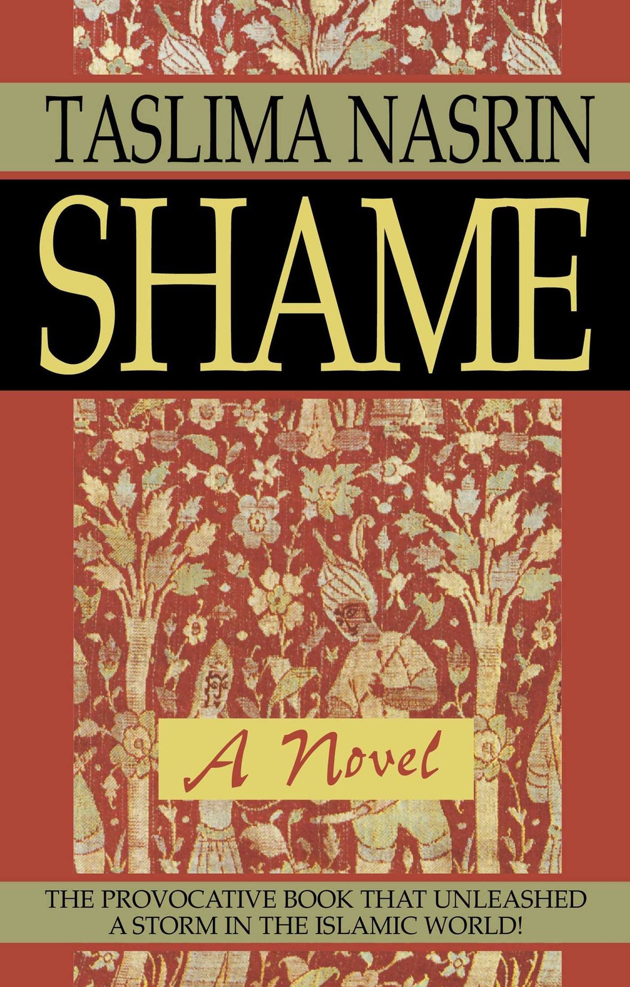 Shame: A Novel