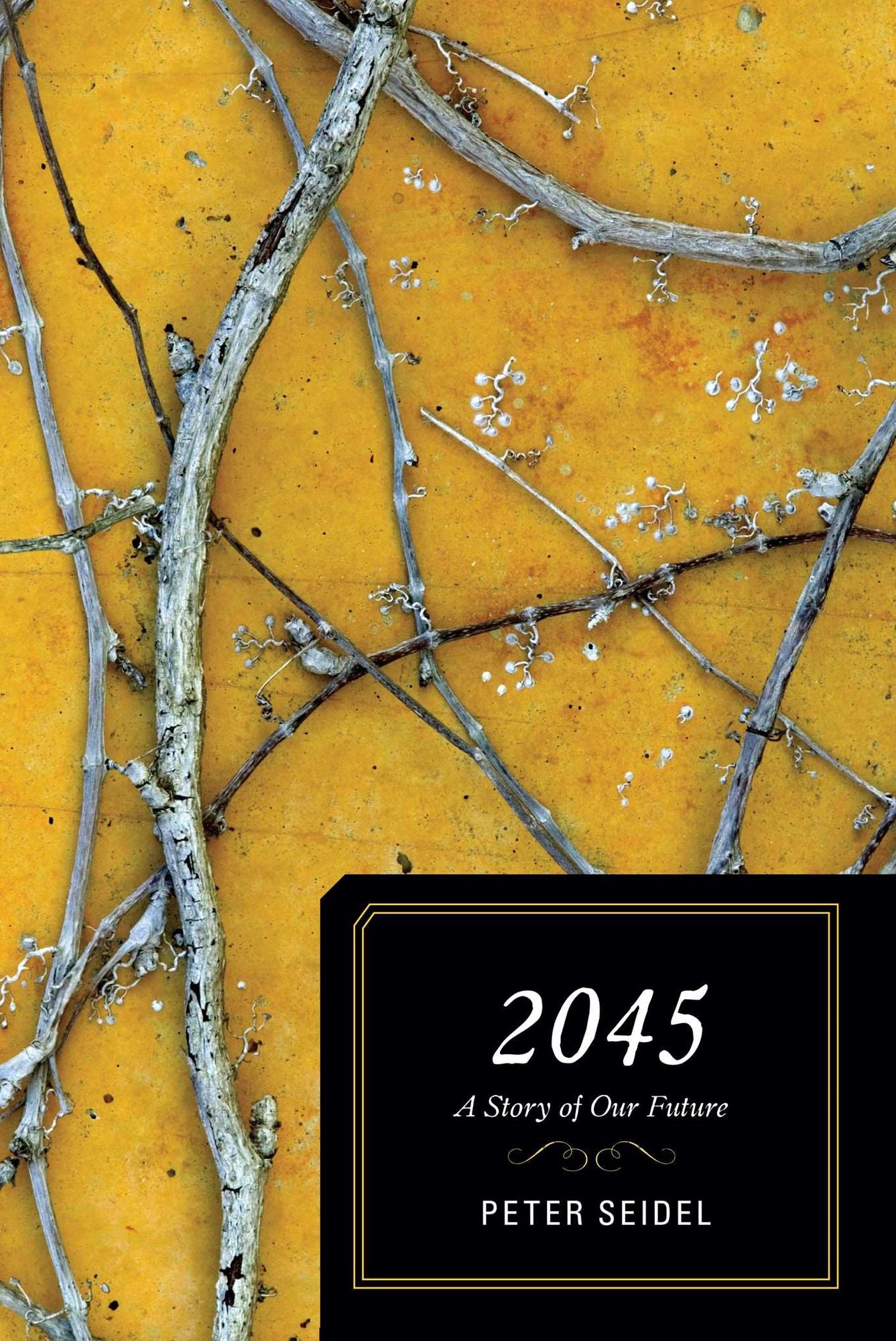 2045: A Story of Our Future