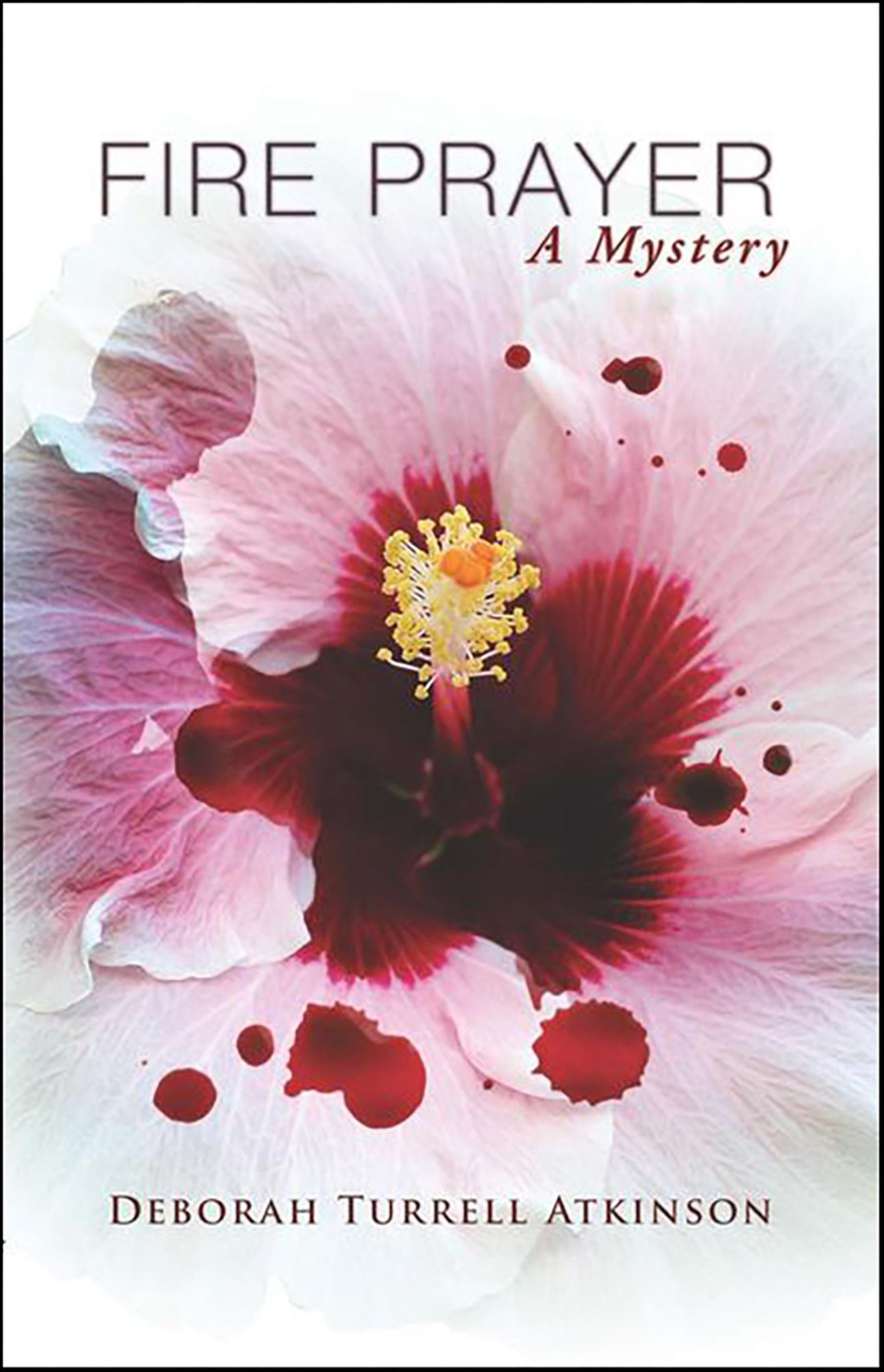 Fire Prayer: A Storm Kayama Mystery #3