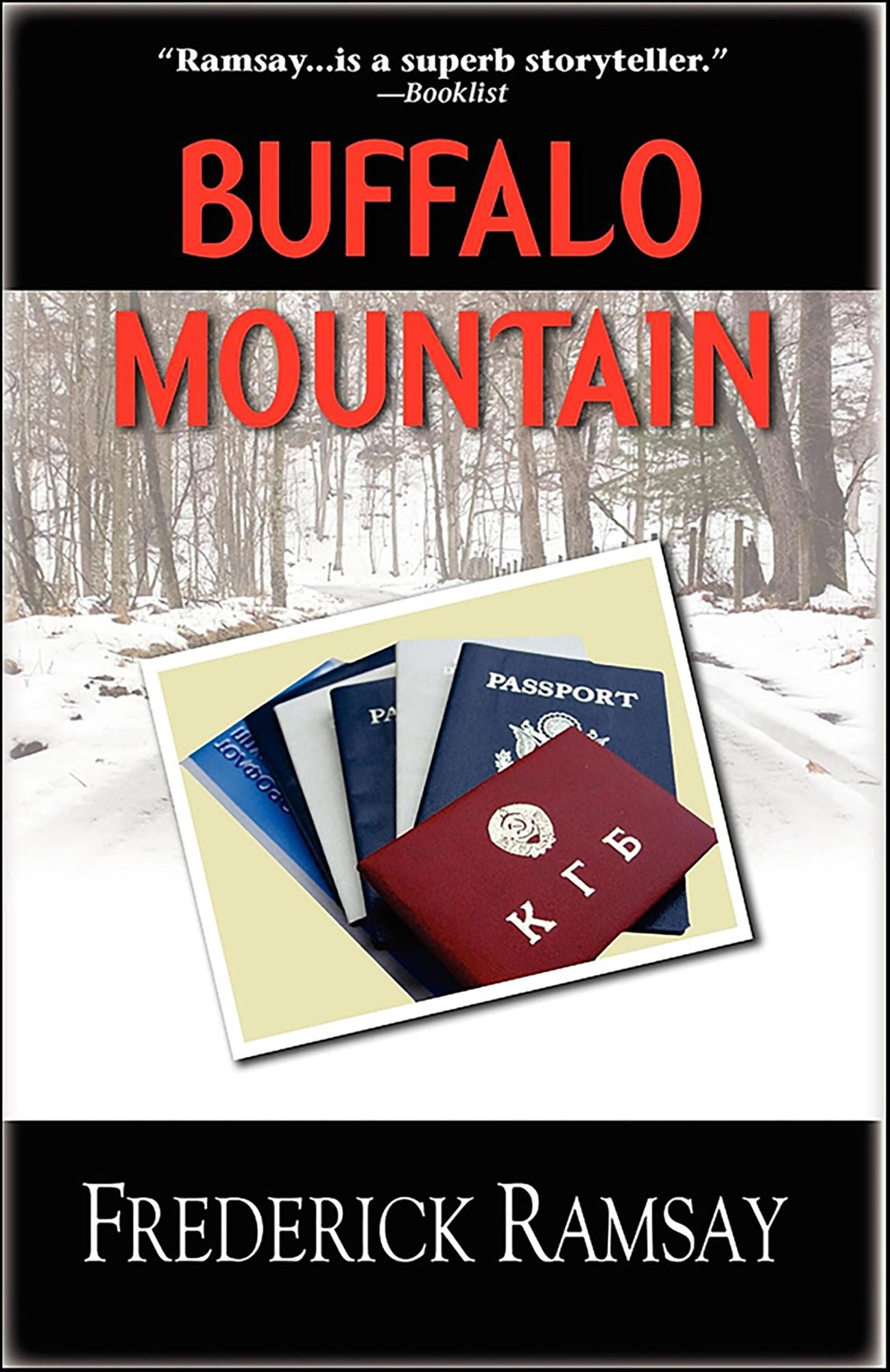 Buffalo Mountain (Ike Schwartz Series #3)