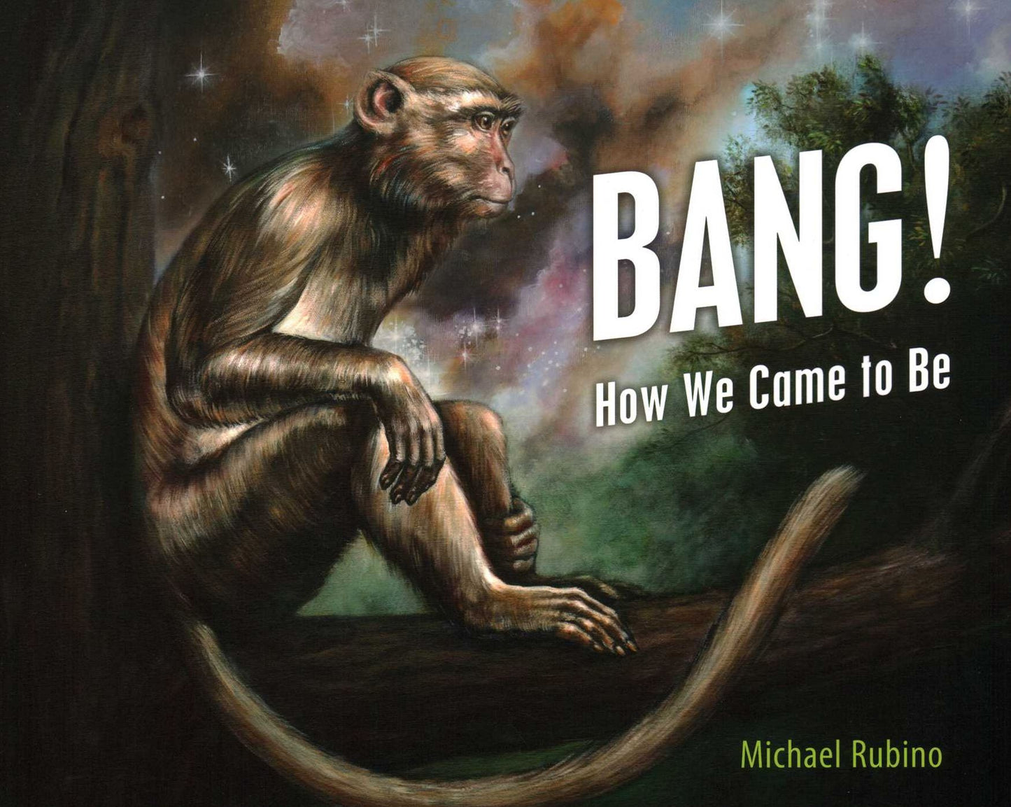 Bang!: How We Came to Be