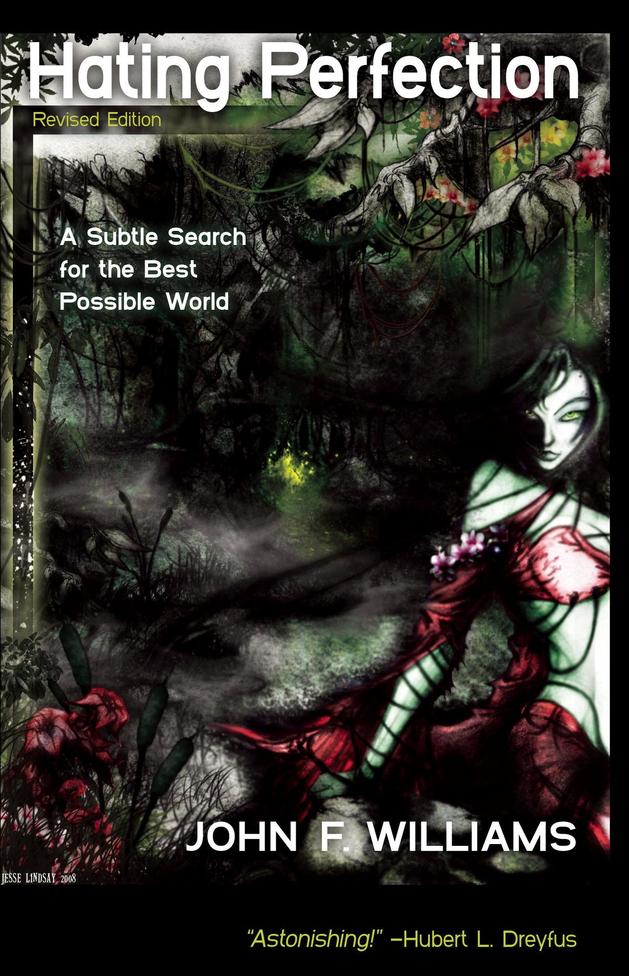 Hating Perfection (Revised Edition): A Subtle Search for the Best Possible World