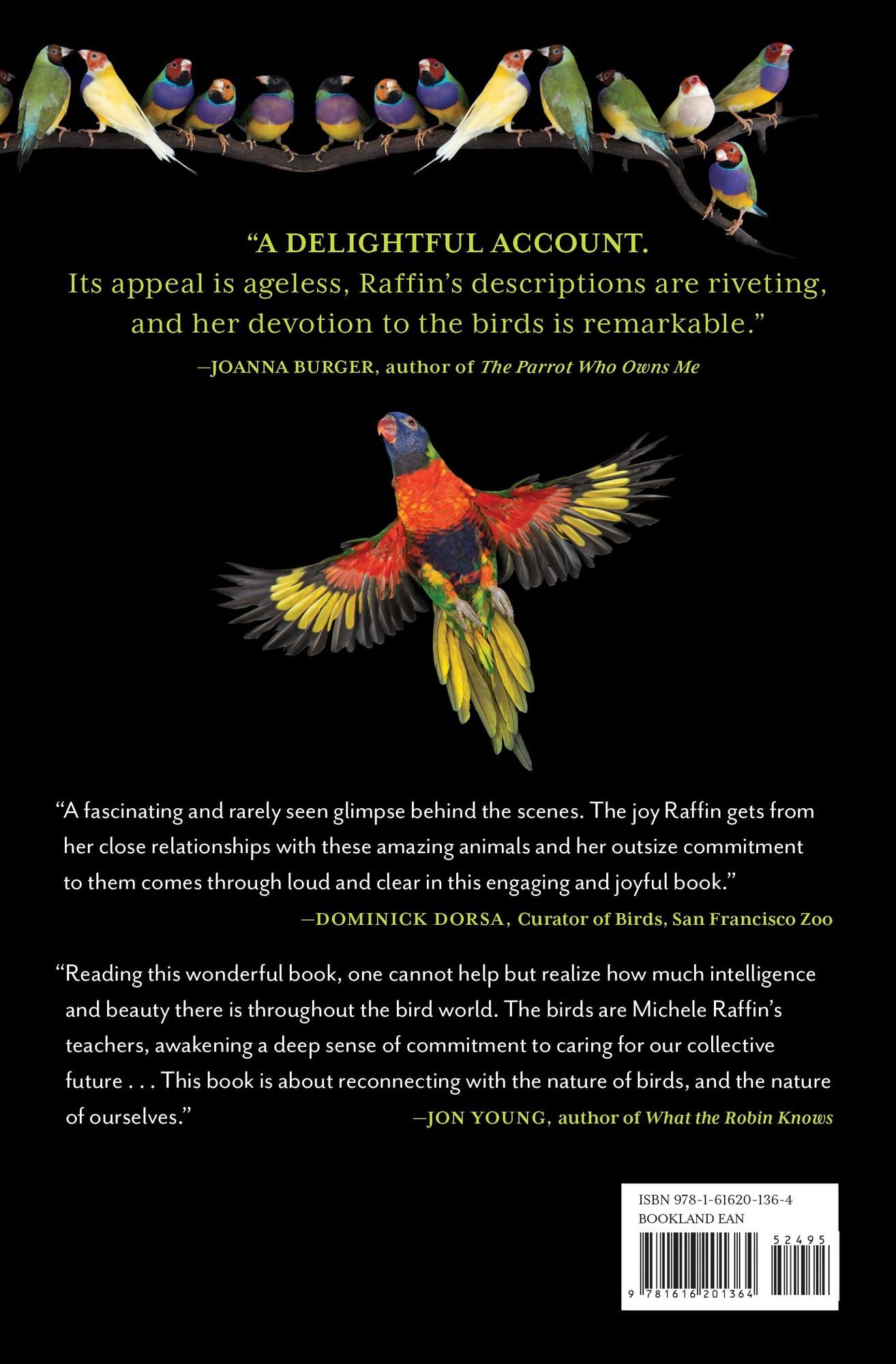 The Birds of Pandemonium