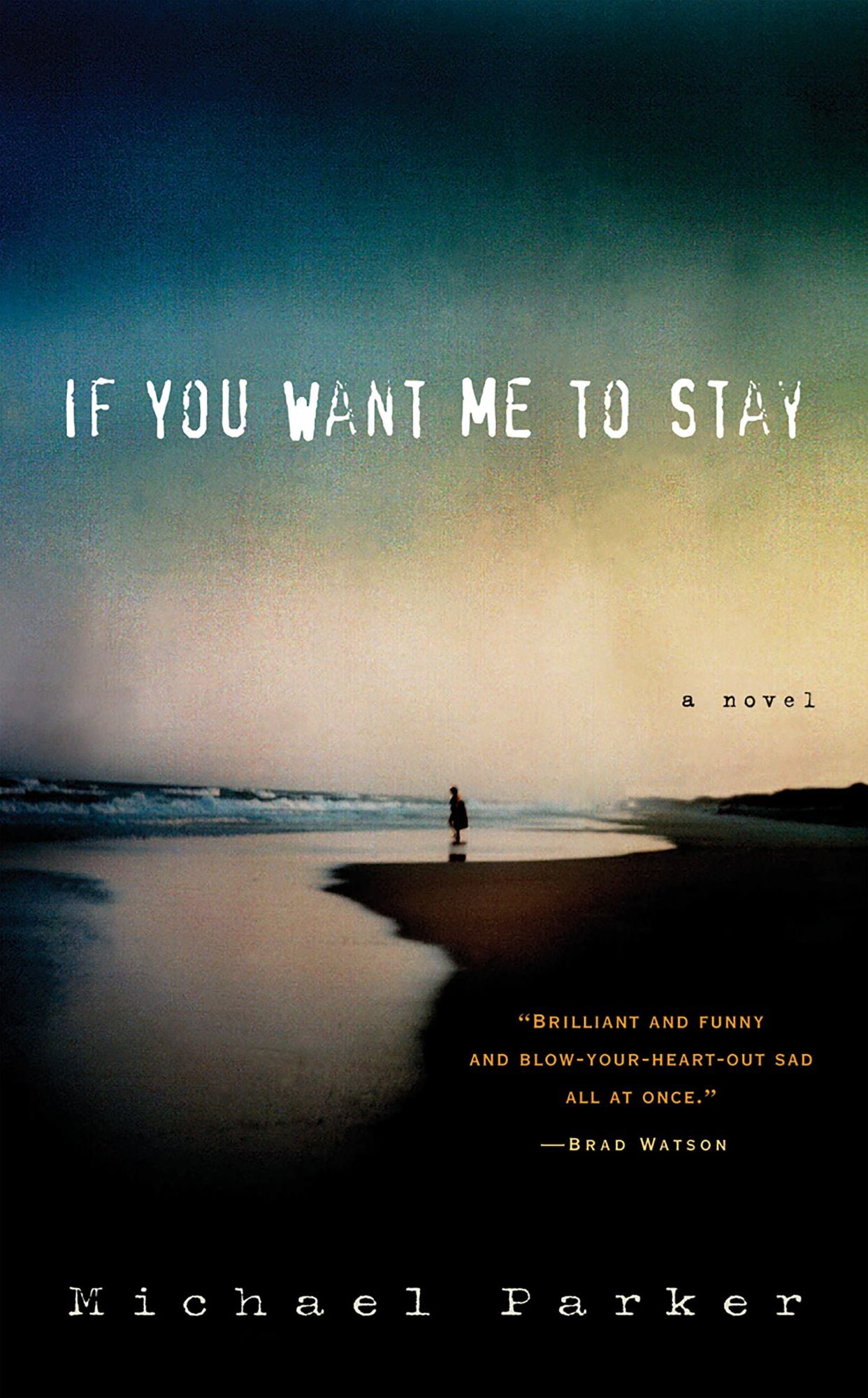 If You Want Me to Stay: A Novel