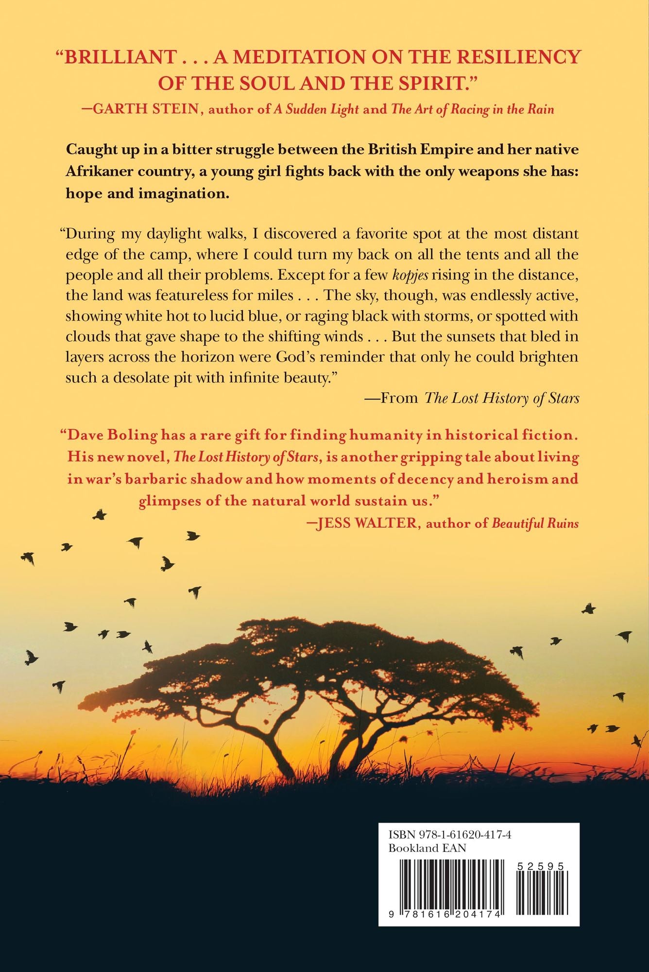 The Lost History of Stars: A Novel