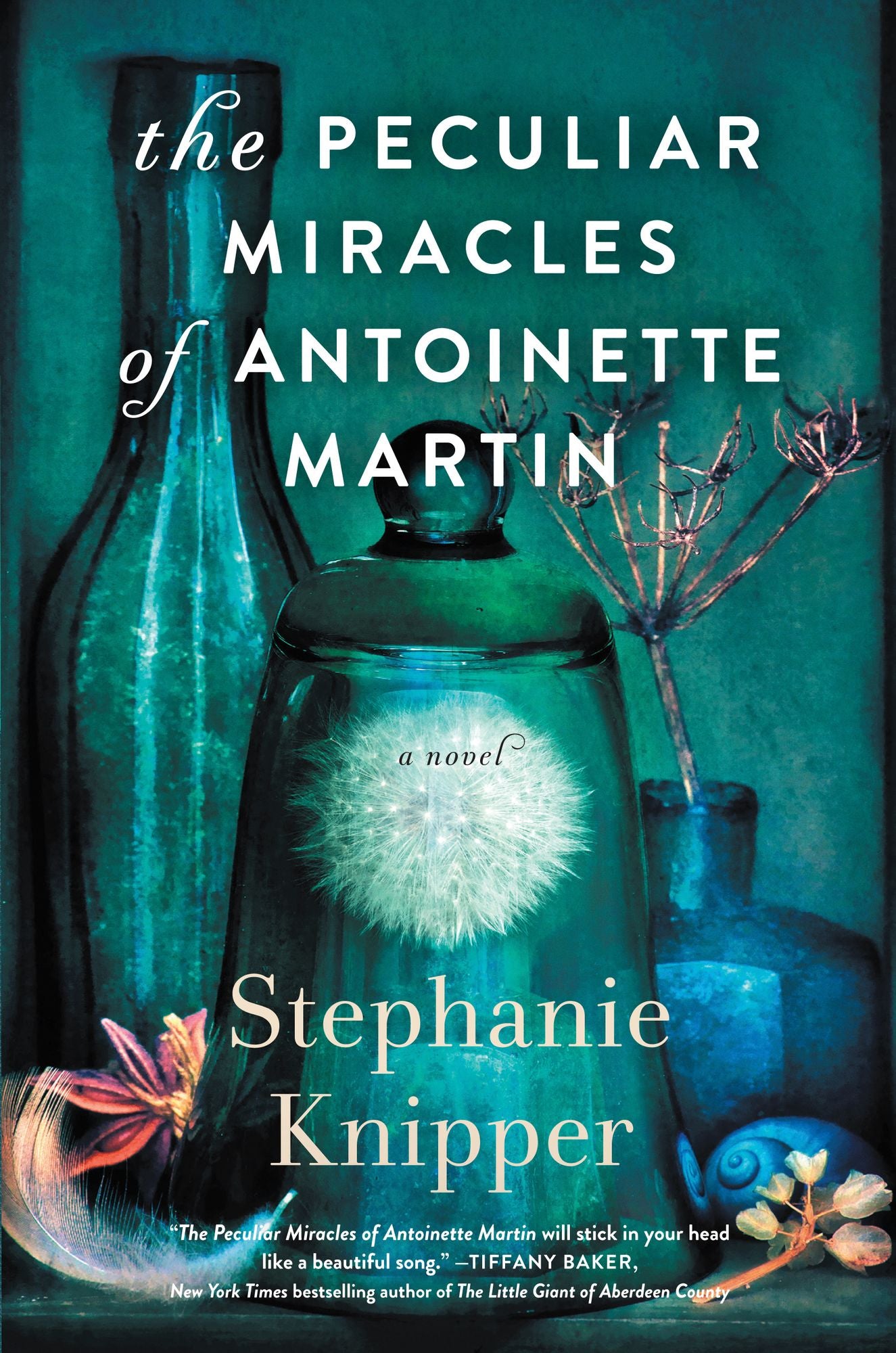 The Peculiar Miracles of Antoinette Martin: A Novel
