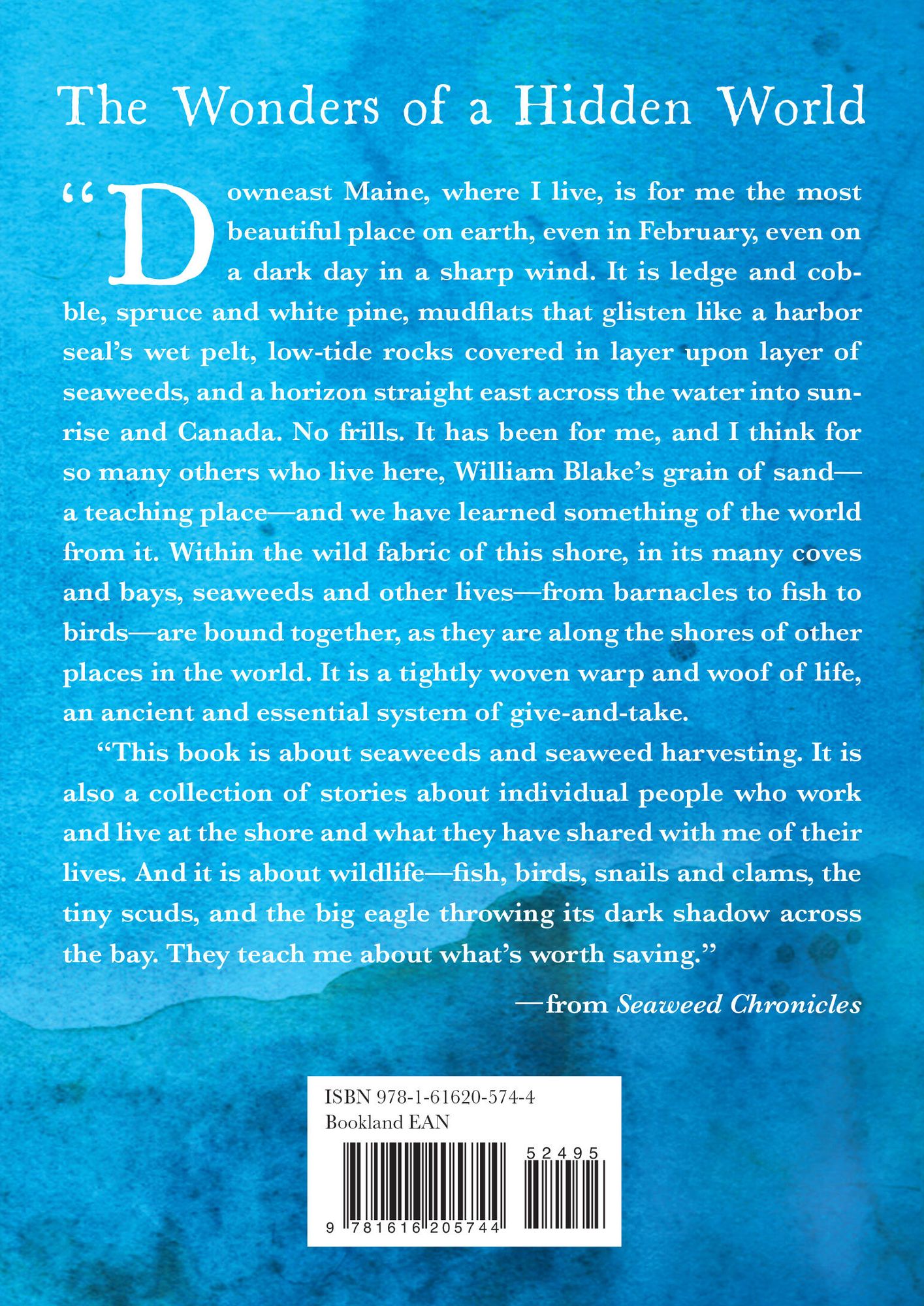 Seaweed Chronicles: A World at the Water's Edge