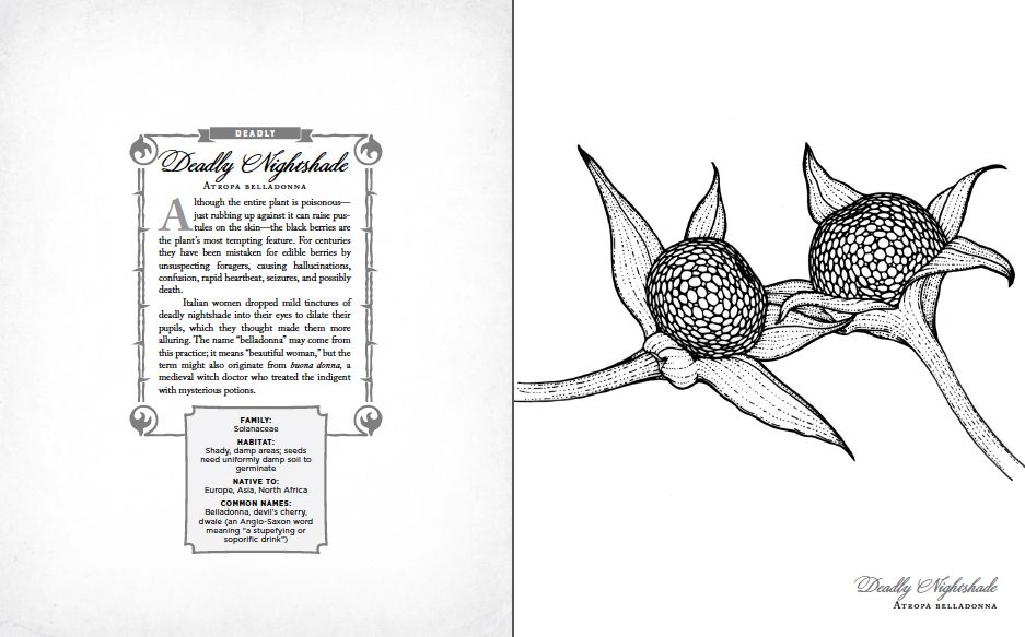 The Wicked Plants Coloring Book