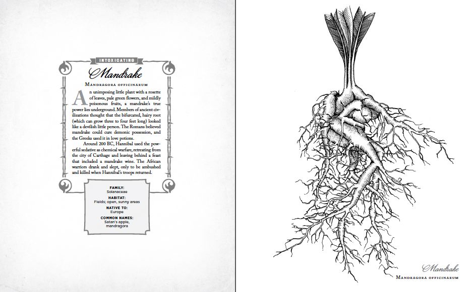 The Wicked Plants Coloring Book