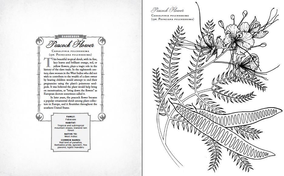 The Wicked Plants Coloring Book