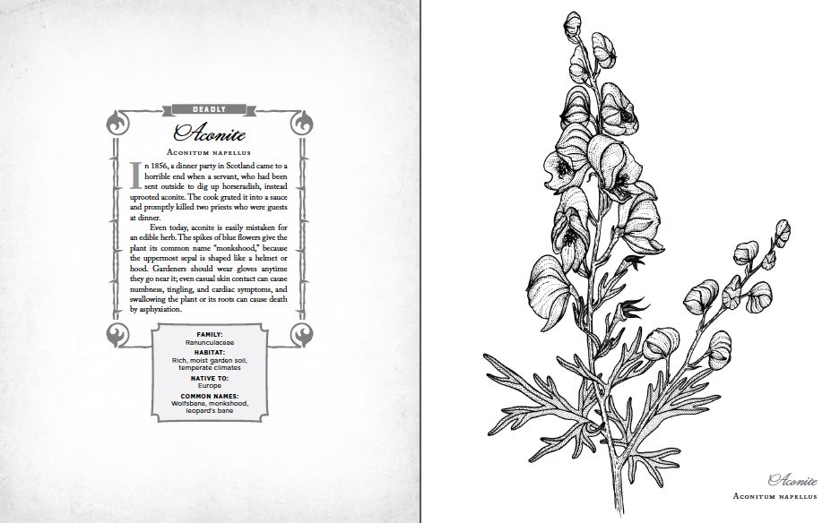 The Wicked Plants Coloring Book